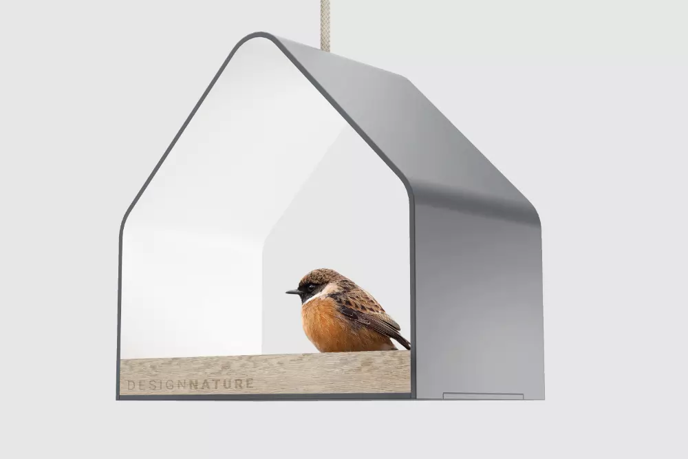 Concept design of a bird feeder