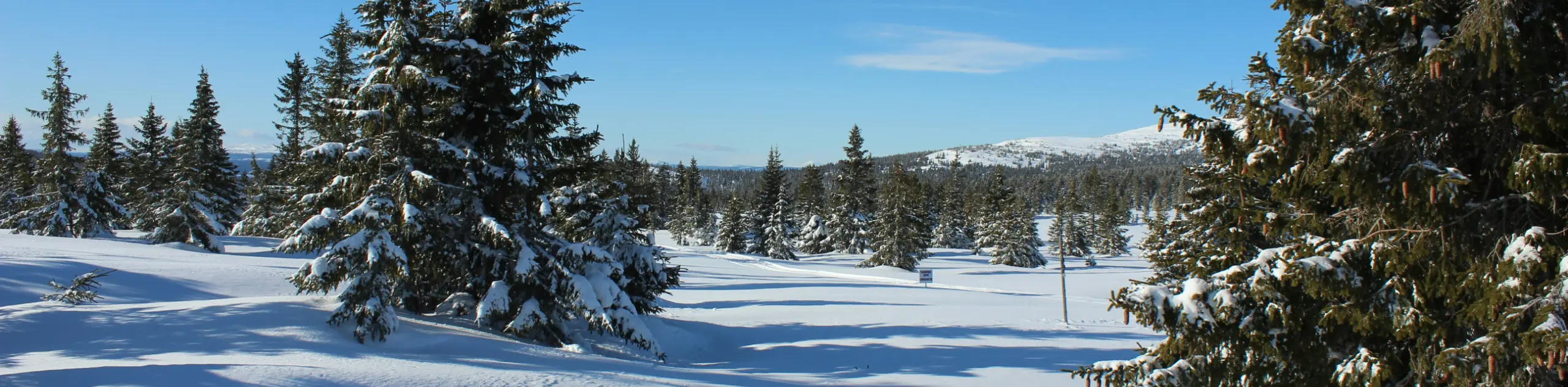 Drammen surroundings in the snow